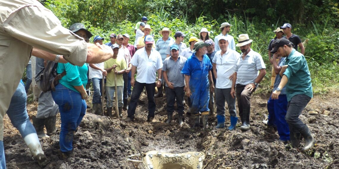 Dia de Campo promove recuperação de nascentes no município de Itambé