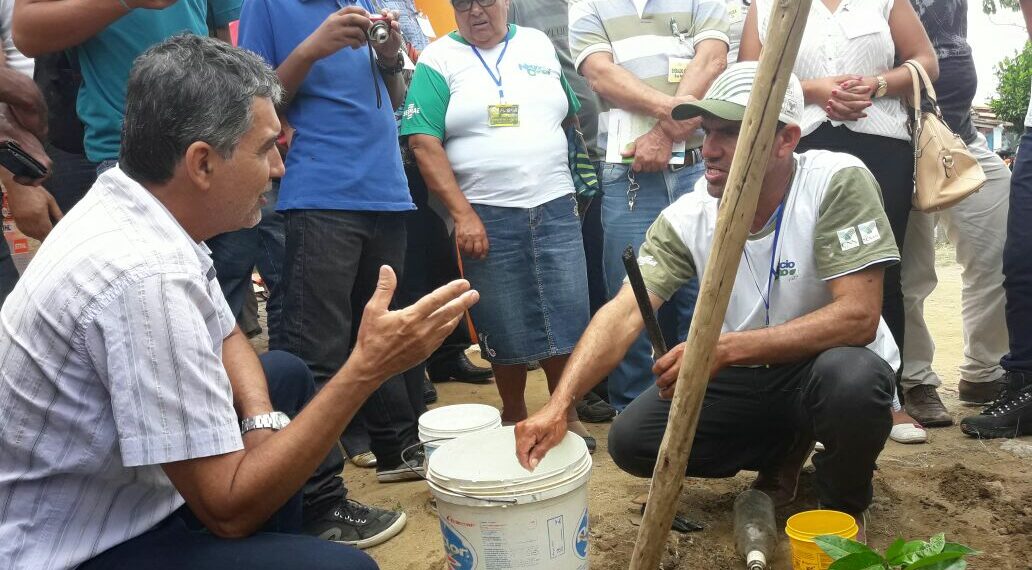 Evolução de produção de maracujá em propriedades atendidas pelo Pro-SENAR atrai a atenção de produtores