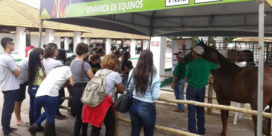 Sistema FAEB realiza dinâmicas práticas na EXPOCONQUISTA 2017