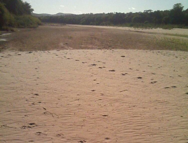 Seca deixa 52% dos municípios da Bahia em situação de emergência