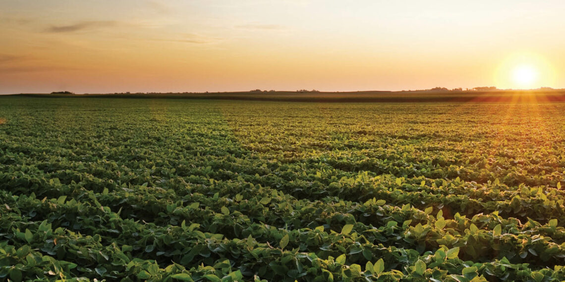 Agronegócio pode ‘salvar’ PIB no 1º trimestre