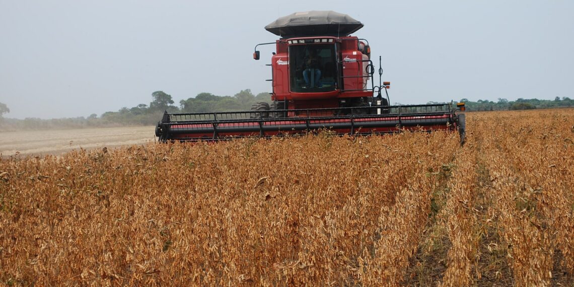 AgRural eleva safra de soja para 111,6 milhões de toneladas