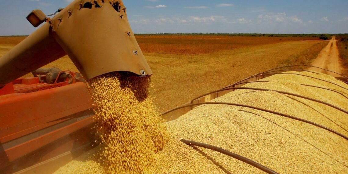 Conab estima safra 2016/17 de soja do Brasil em recorde de 110,2 mi de t