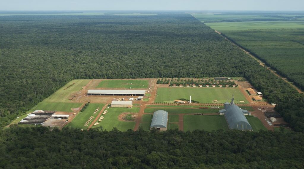 À espera de uma colheita melhor