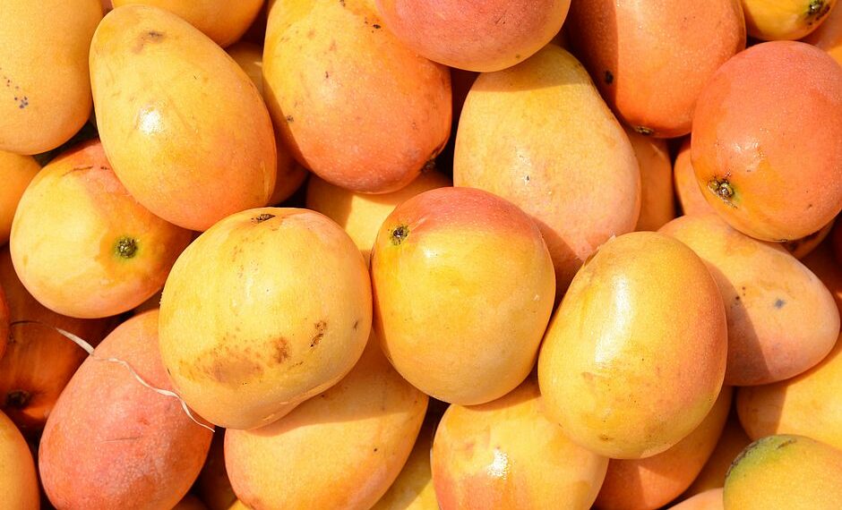 Bahia frutífera: com 12,2% do valor de produção de frutas, estado é o vice-líder nacional