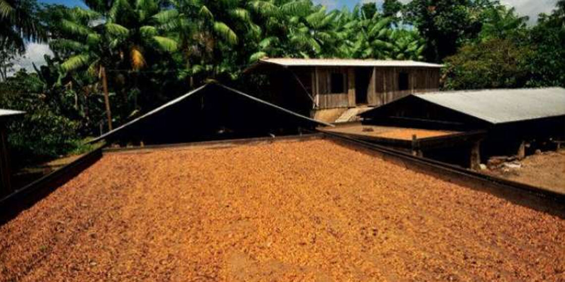 Proprietários têm 10 dias para declarar ITR