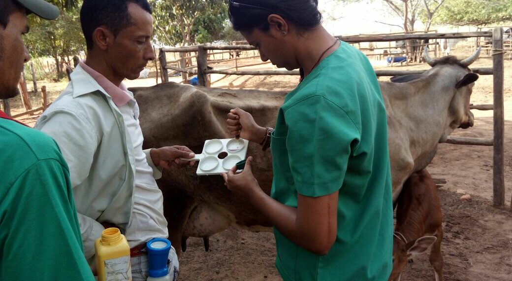 Turma do Pro-Senar Leite de Angical participa de capacitação sobre higiene na ordenha e qualidade do leite