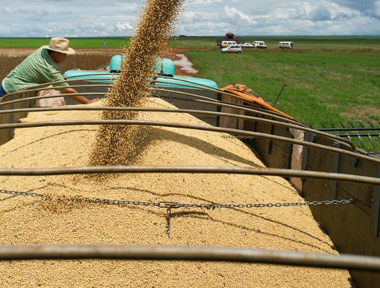 Valor da produção agrícola da Bahia alcançou R$ 15,7 bi no ano passado