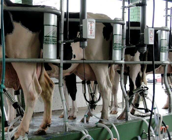 Brasil obtém aprovação para exportar leite e produtos lácteos para o Japão