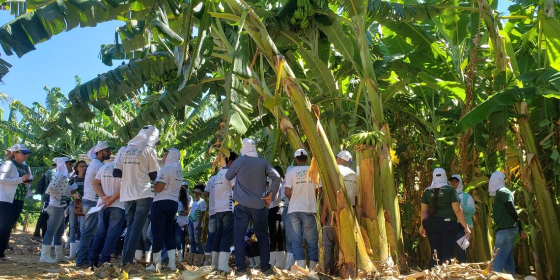 Alunos do Curso Técnico em Agronegócio da cidade de Juazeiro fazem visita a projeto de irrigação