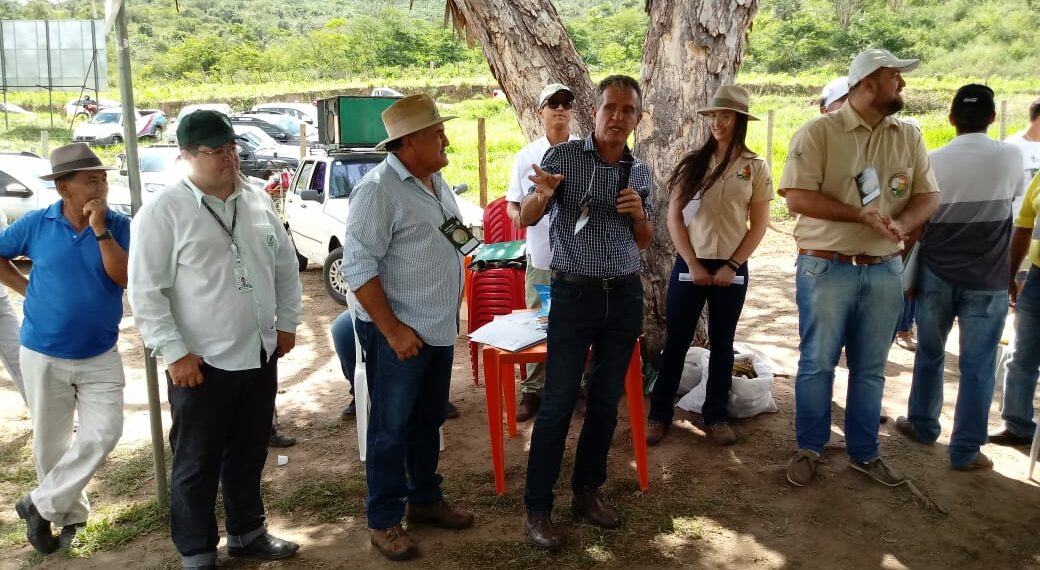 Produtores participam de dia de campo do projeto Forrageiras para o Semiárido, em Baixa Grande