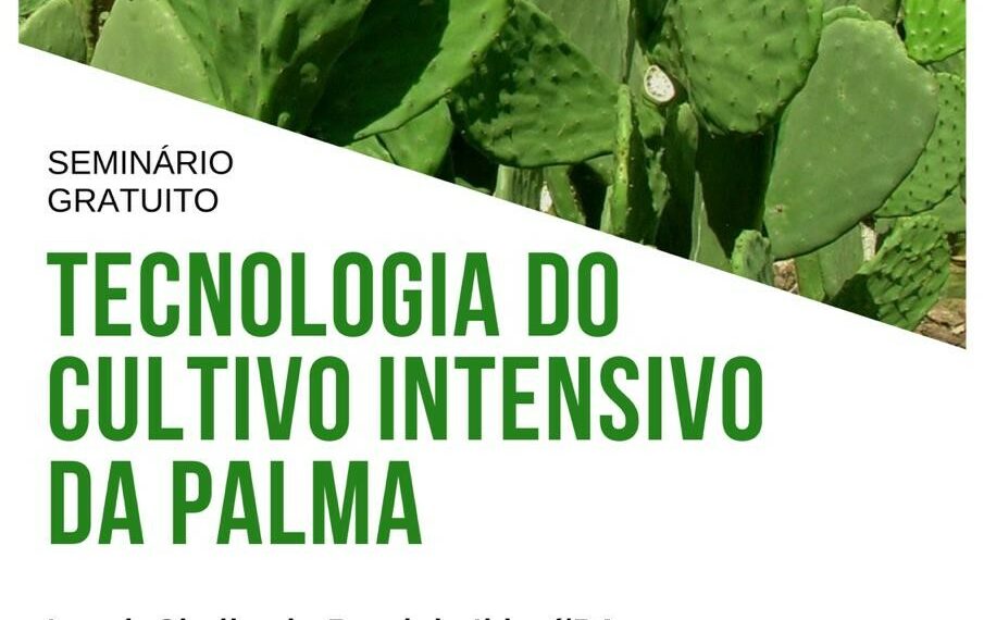 Seminário Tecnologia do Cultivo Intensivo da Palma, 12/11/19, em Ibicui (BA)