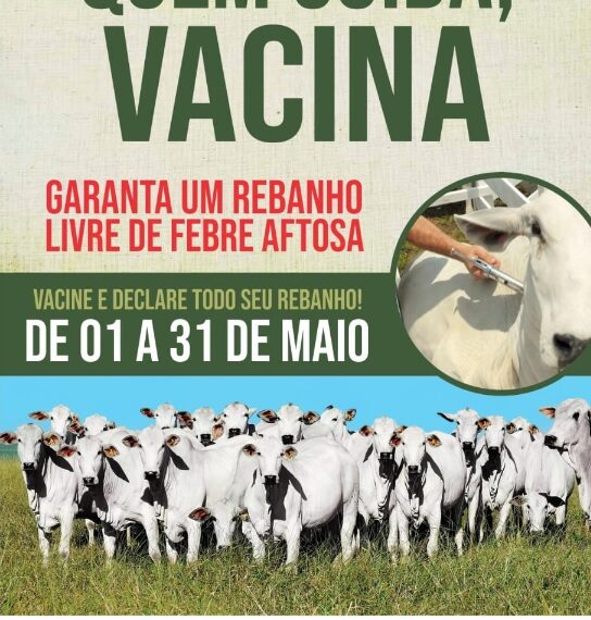 Vacine todo o seu rebanho contra a Febre Aftosa, de 1º a 31 de maio