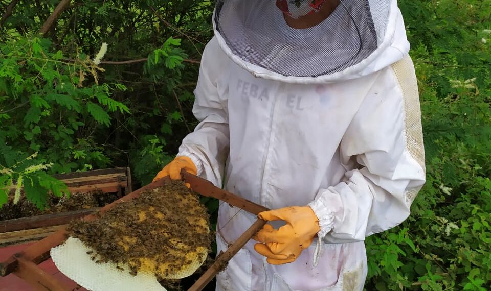 Programa Agronordeste inicia as visitas presenciais na Bahia