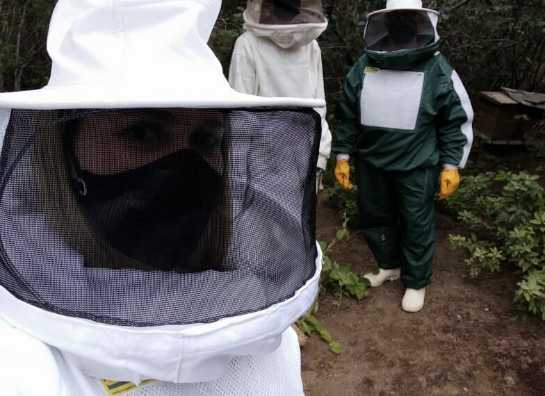 Mais de 100 propriedades foram visitadas pelo Senar Bahia com o inicio das visitas presenciais do Agronordeste