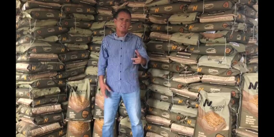 Sistema Faeb/Senar e Syngenta firmam parceria para entrega de sacas de milho aos produtores