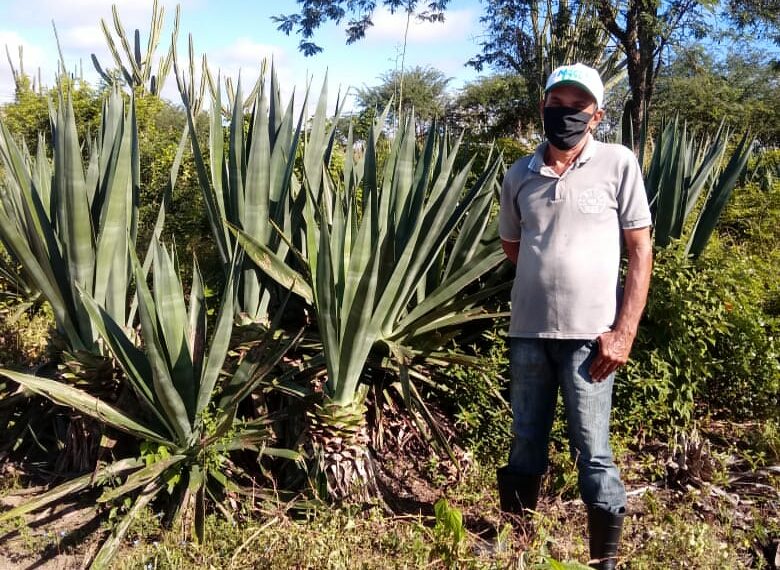 Programa Agronordeste na Bahia vai atender mais de mil propriedades no mês de julho