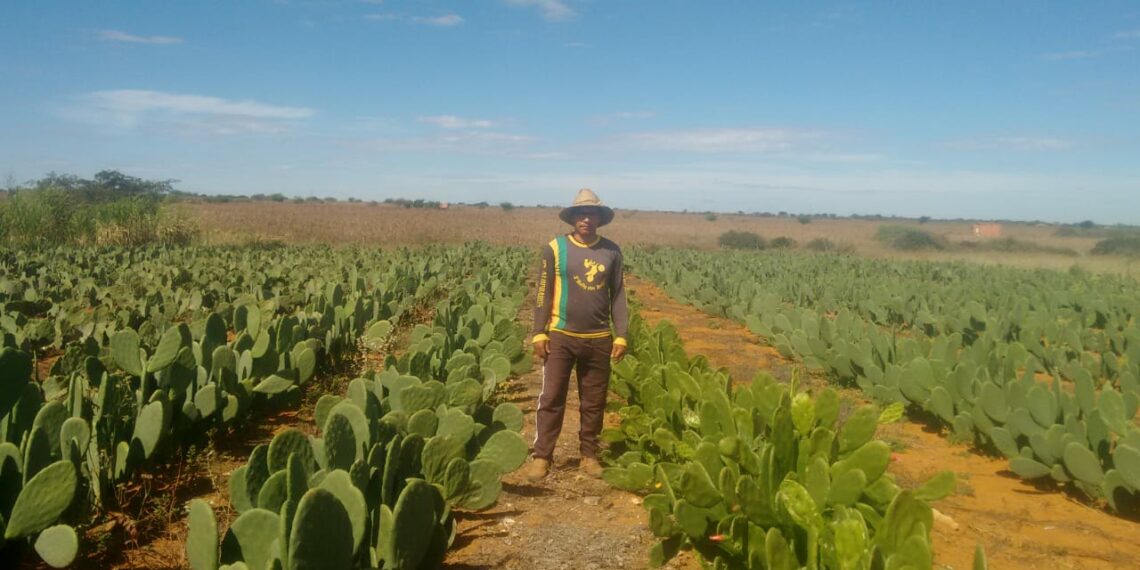 Depois do Pro-Senar Leite e a Assistência Técnica do Senar Bahia tudo mudou na vida de Geovane