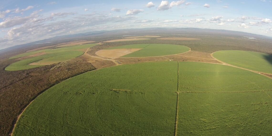 Governo do Estado, MDR e Faeb visitam Polo Agroindustrial e Bioenergético no Médio São Francisco