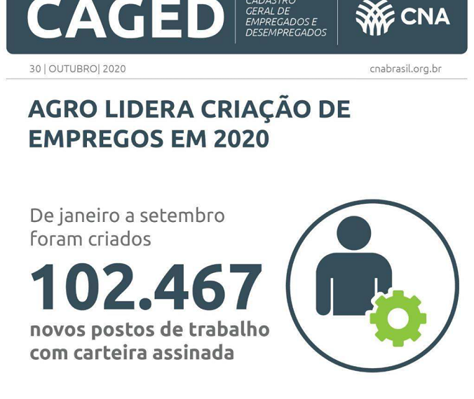 Agro lidera geração de empregos no ano