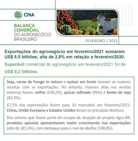 Exportações do agronegócio atingem US$ 6,5 bilhões em fevereiro
