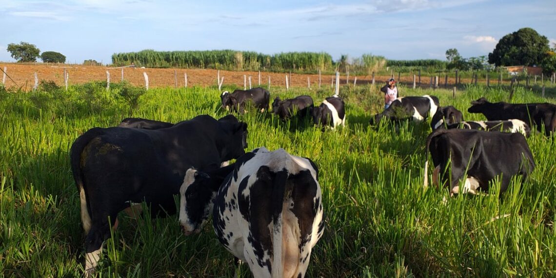 Projeto FIP Paisagens Rurais atende municípios na Região Oeste da Bahia