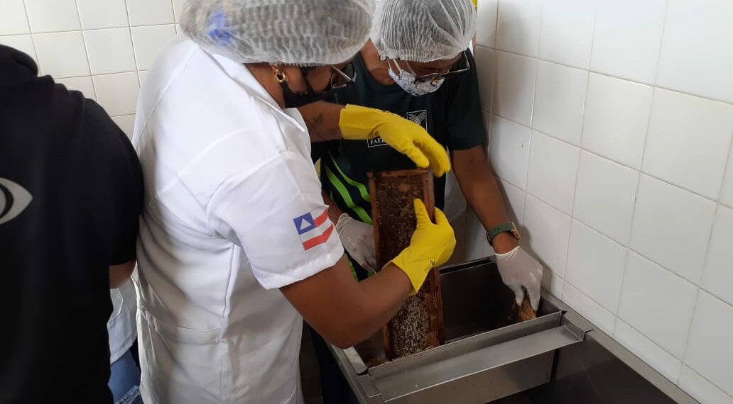 Programa “Nosso Agro” da CNA entrevista Apicultora do Agronordeste na Bahia