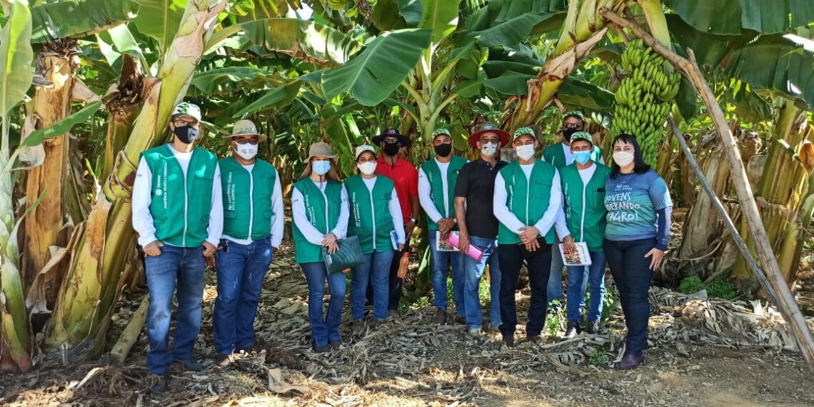 Sistema Faeb e Sebrae iniciam atividades na Bahia do Projeto Retomada da Economia