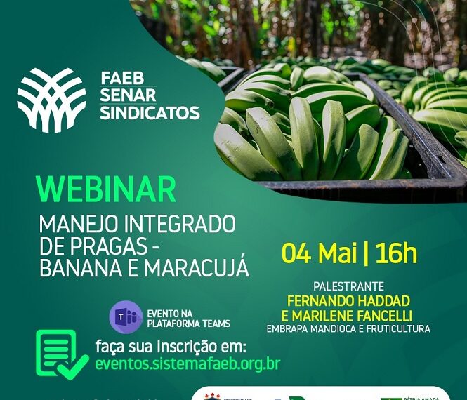 Webinar – Manejo Integrado de Pragas – Banana e Maracujá