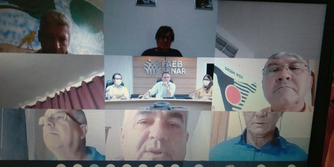 Sistema Faeb realiza reunião virtual com Sindicatos dos Produtores Rurais do Sudoeste baiano