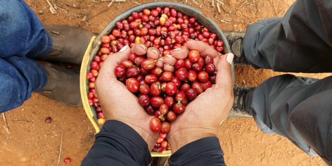 Senar Bahia divulga primeiro vencedor da “Premiação de fotos Instrucionais”