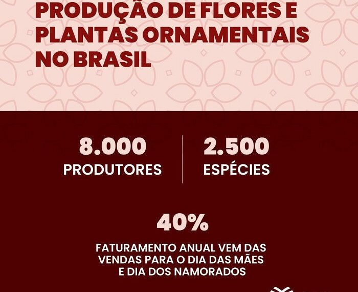Preço de importação da borracha natural tem queda de 8,26% em abril