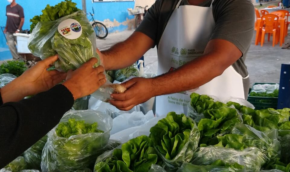 Feirantes de Eunápolis participam da Feira Segura