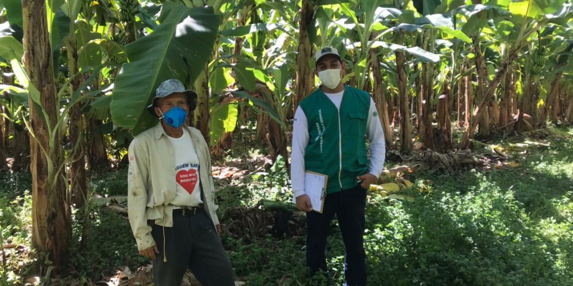 Projeto Retomada da Economia inicia atividades no Oeste da Bahia