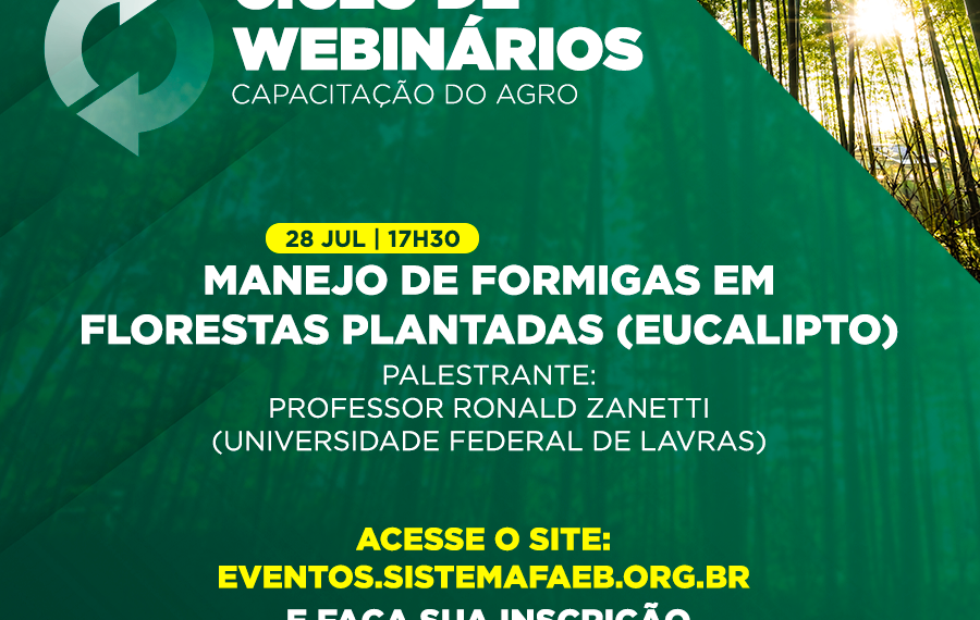 “Manejo de Formigas em Florestas Plantadas” é tema do segundo encontro do Ciclo de Webinários