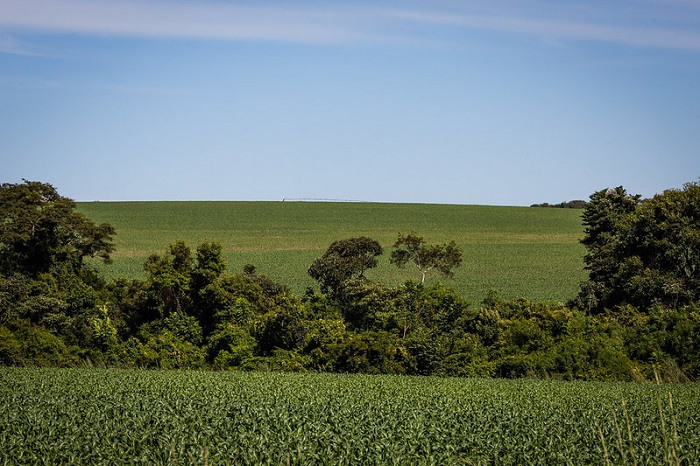 CNA e Federações debatem licenciamento ambiental no Brasil