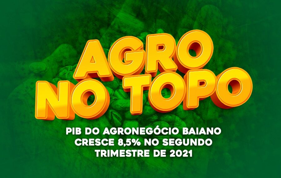 PIB do agronegócio baiano cresce 8,5% no segundo trimestre de 2021