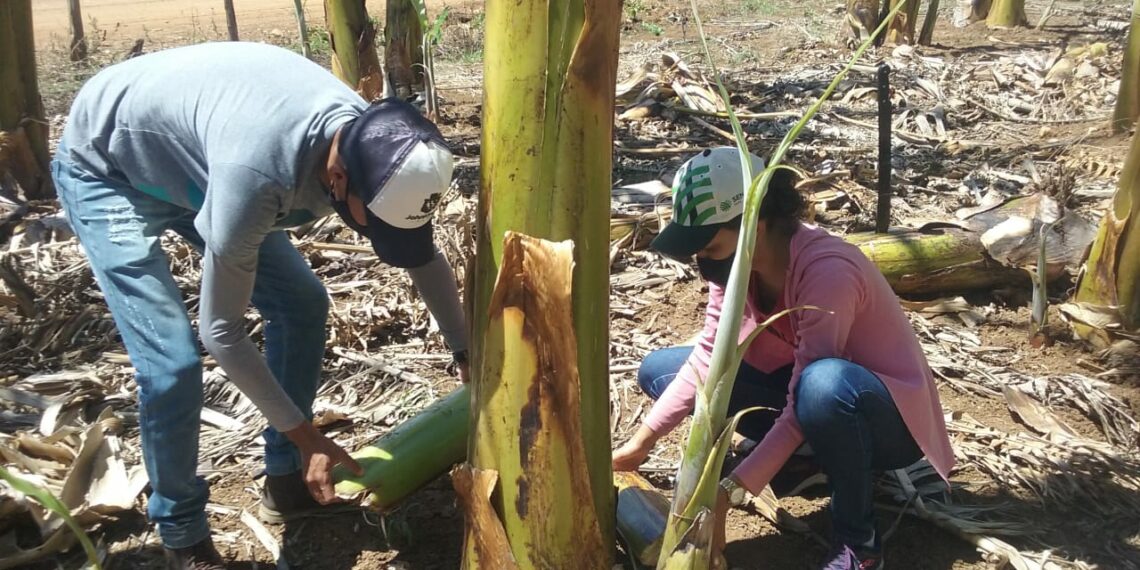 Premiação do concurso “Fotos Instrucionais” do Senar Bahia com mais um vencedor