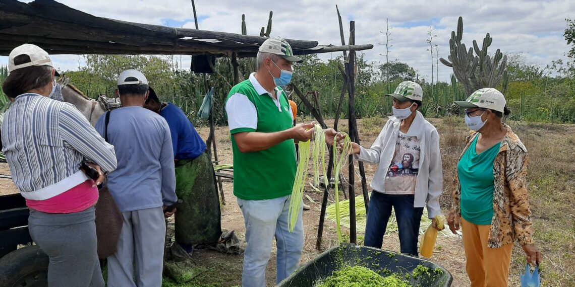 Programa AgroNordeste realiza curso de FPR em Conceição do Coité