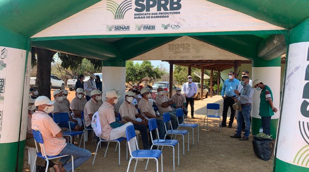 Senar com o Programa Fip Paisagens Rurais realiza “Dia de Campo” em Brejolândia na Bahia