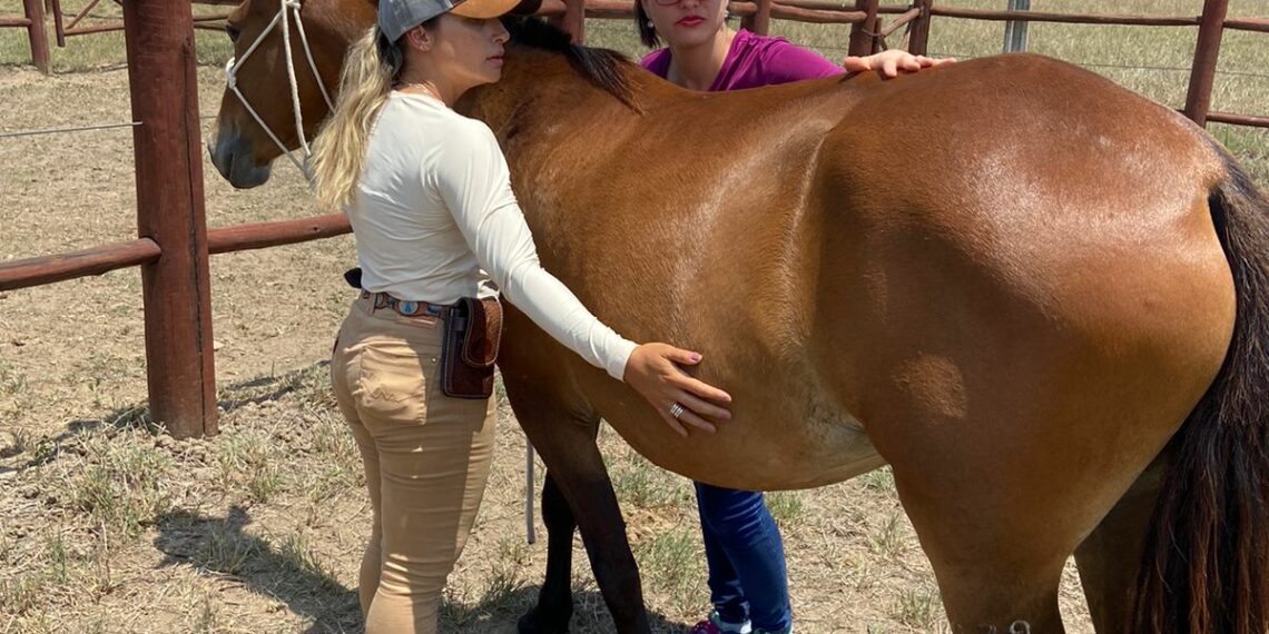 Senar Bahia e Sindicato Rural de Itaju do Colônia realizam Curso de Doma Racional