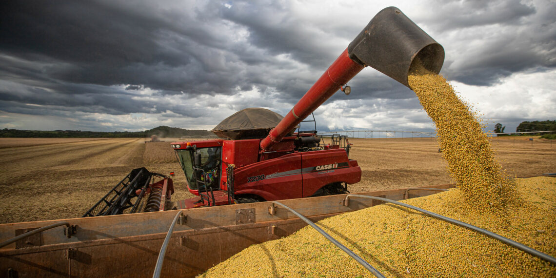 Bahia mantém recorde em produção agrícola, aponta IBGE
