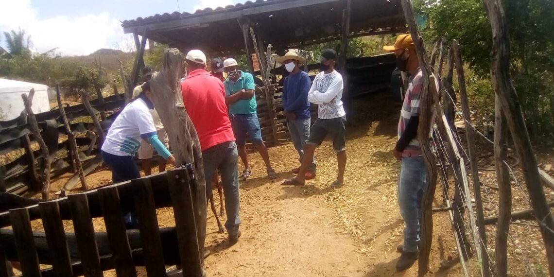 Sistema Faeb/Senar e o Sindicato Rural de Tucano realizam o curso de “Manejo Sanitário”