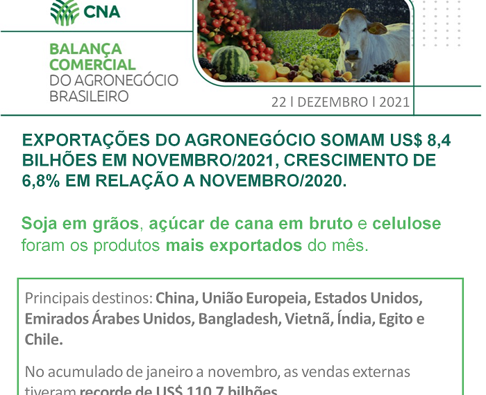 Exportações do agro somam US$ 8,4 bilhões em novembro