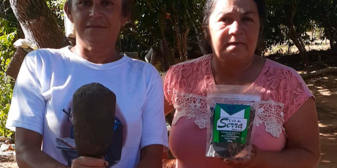 Assistência Técnica e Gerencial do Senar reativa antigo polo cafeeiro da Bahia