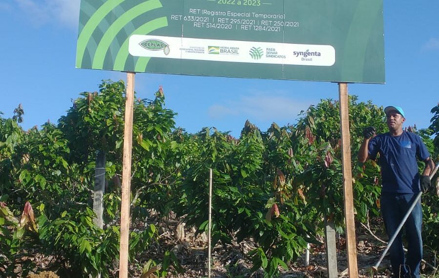 Bahia testa fungicida contra vassoura de bruxa em lavoura cacaueira