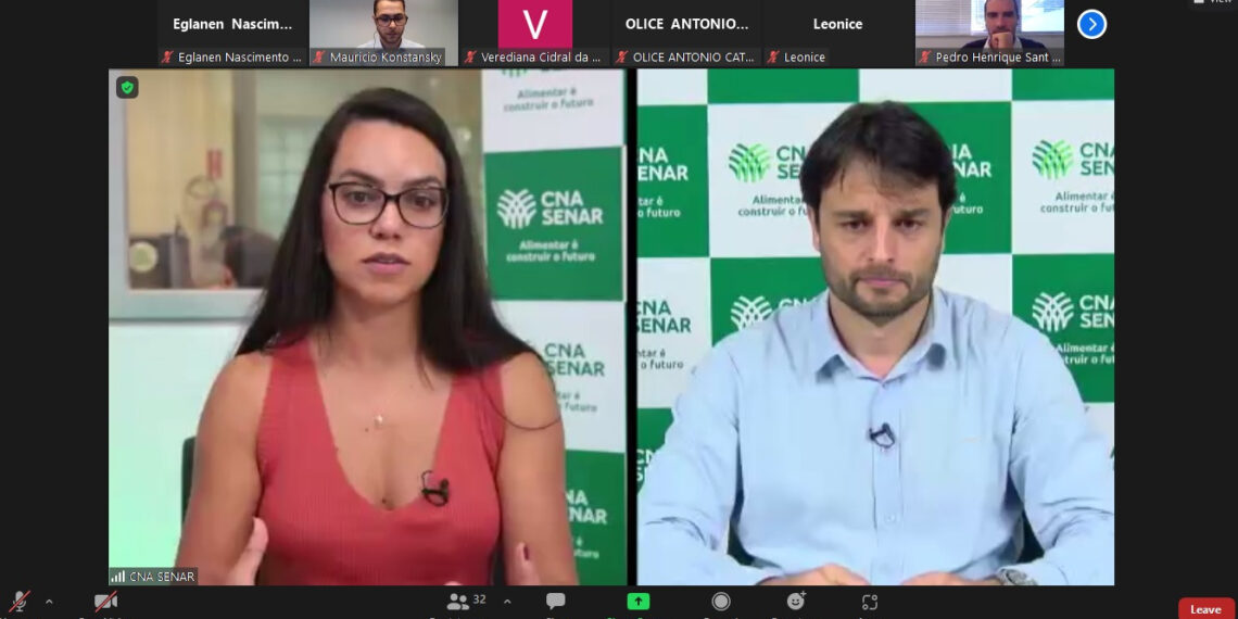 CNA orienta produtores de soja e milho sobre gestão de risco de preços