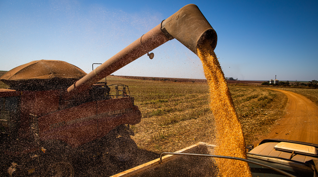 Agronegócio baiano fecha primeiro trimestre de 2022 em alta