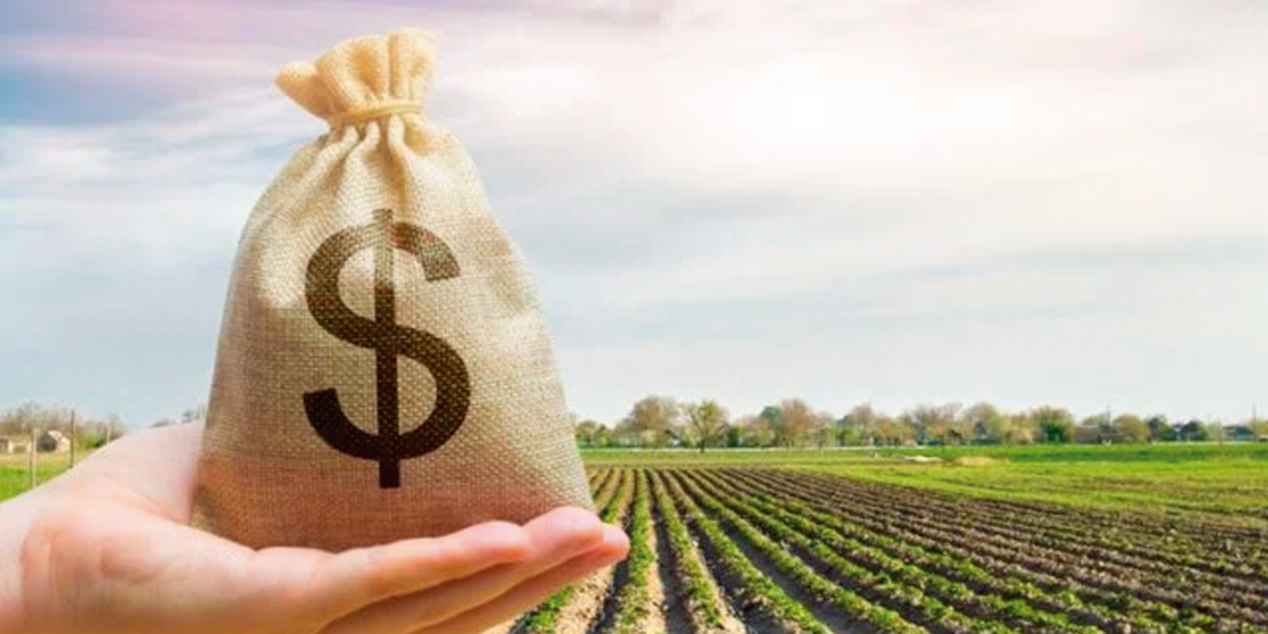 Linhas de crédito do Plano Safra 22/23 estarão disponíveis nesta semana, diz Mapa