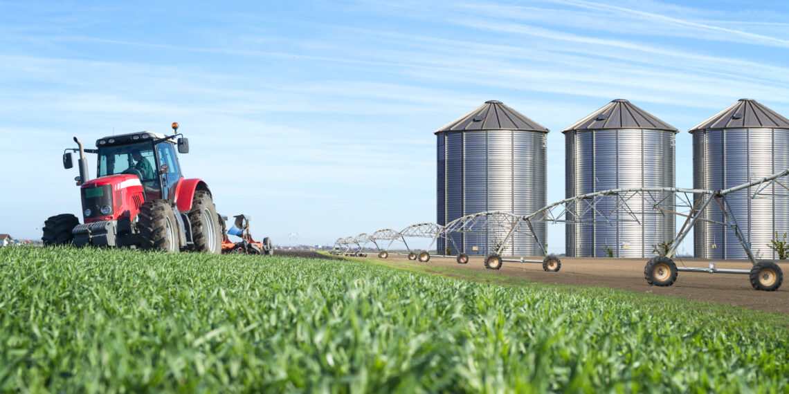 Valor da Produção Agropecuária de 2022 está estimado em R$ 1,241 trilhão